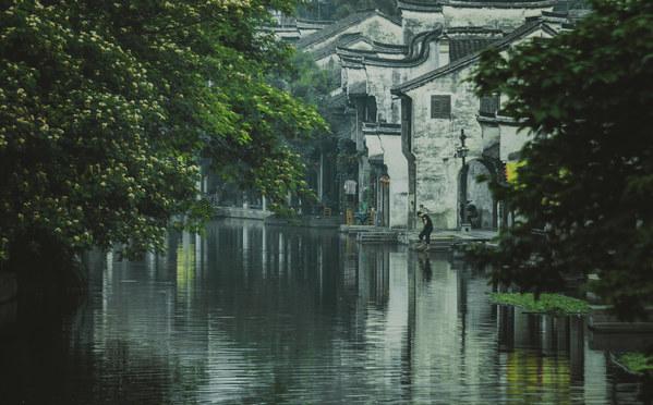 蒿稀绿茶夏天喝能将三高吗?-专业有问必答平台